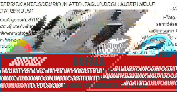 Gli alberi e il 5g, ci risiamo