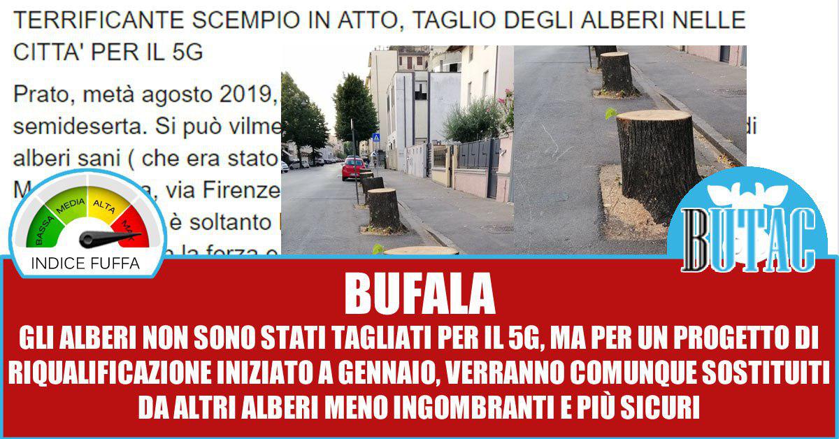 Gli alberi e il 5g, ci risiamo article-post