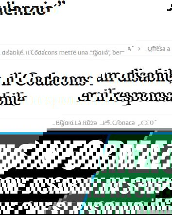 Disabili, garante e linciaggi…