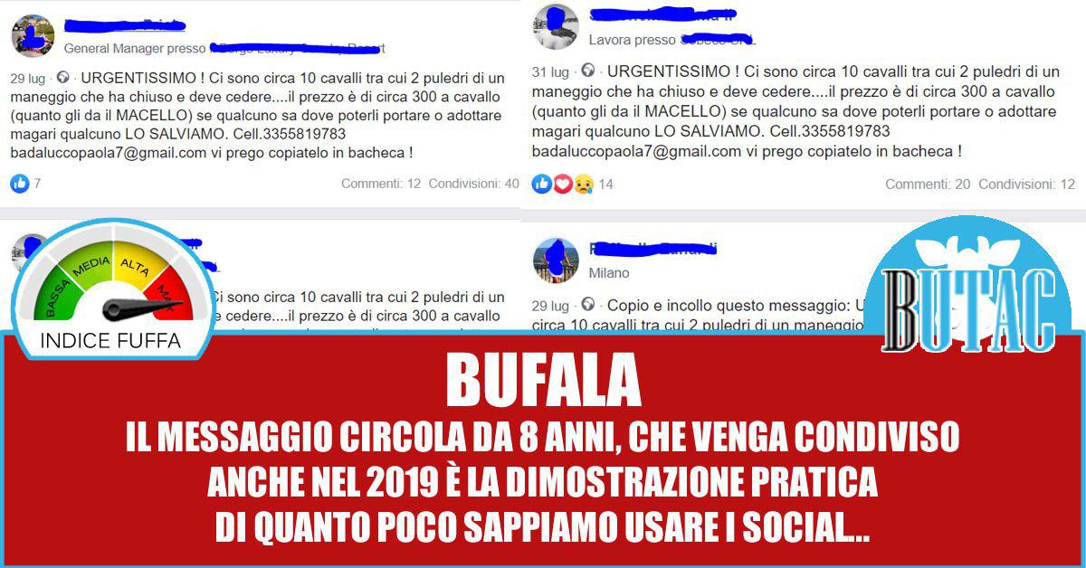 Urgentissimo!!! Ci sono circa 10 cavalli… article-post
