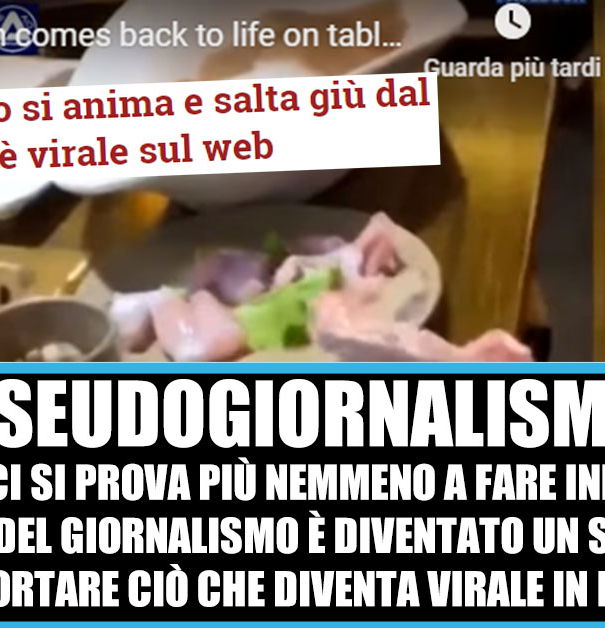 Il pollo che scappa dal piatto article-post