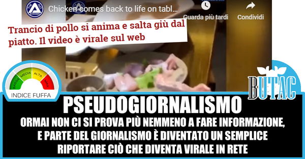 Il pollo che scappa dal piatto