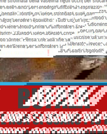 Il toro prima della corrida