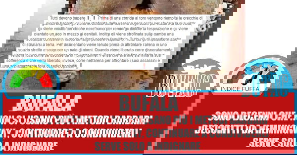 Il toro prima della corrida