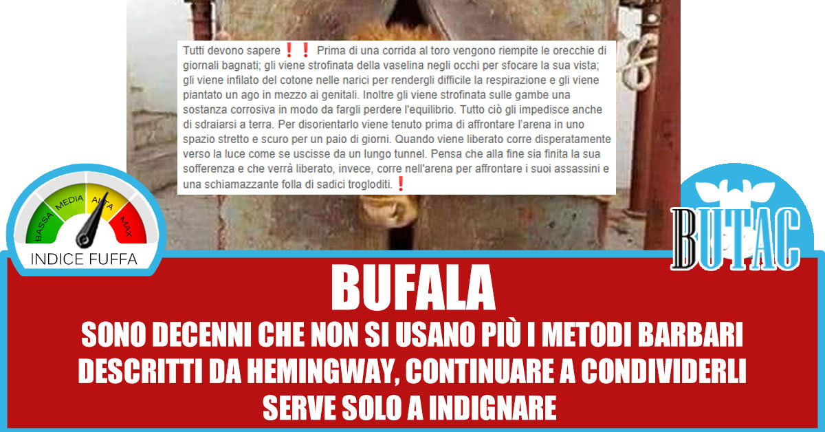 Il toro prima della corrida article-post