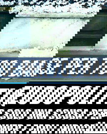 700 gigli (o rose) per i bambini della Grecia