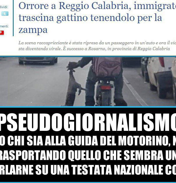 Se questo è giornalismo – Il gatto a Rosarno article-post
