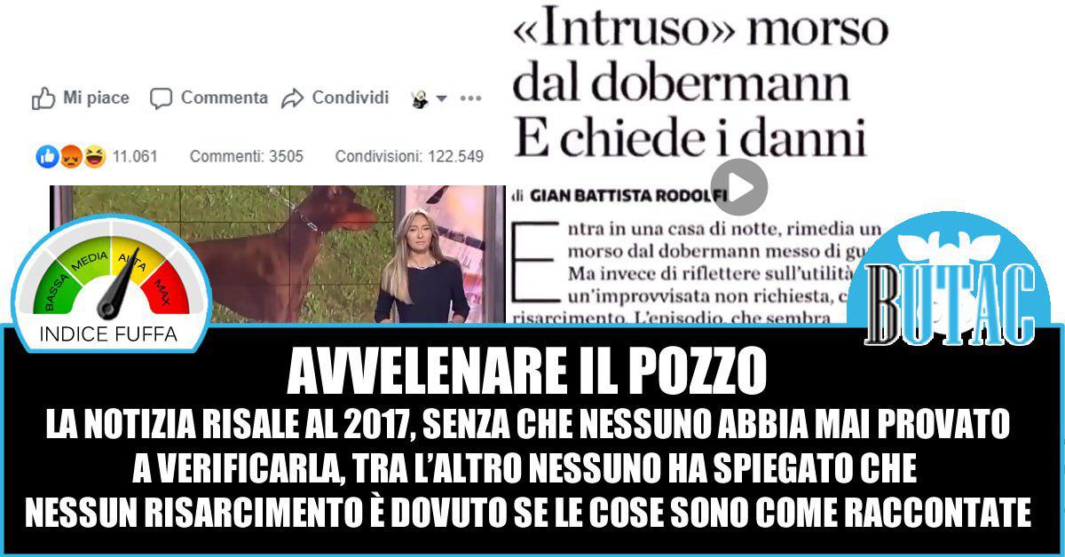 Il ladro morso dal cane article-post