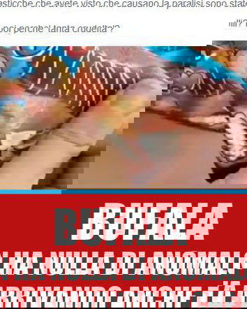 Le merendine dalla Turchia