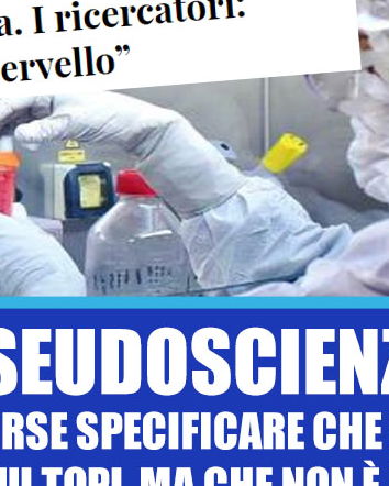 La molecola che ringiovanisce i cervelli…