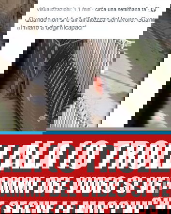 Ecco cosa succede quando non si è all’altezza del lavoro…