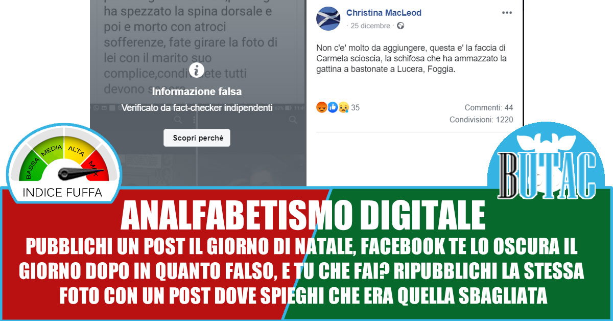 Animalari alla riscossa article-post
