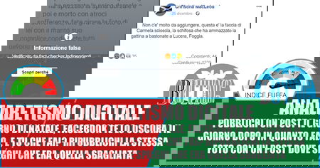 Animalari alla riscossa article-post