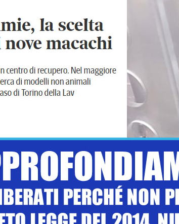 Liberati nove macachi
