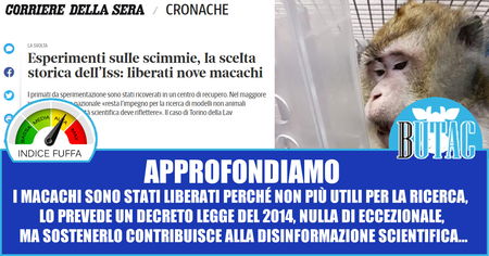 Liberati nove macachi article-post