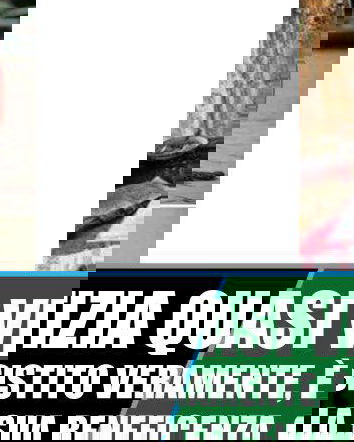 Dobri Dobrev – The Saint of Bailovo