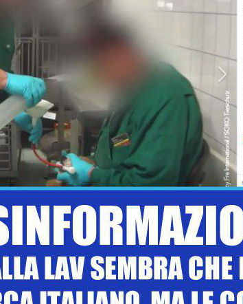 La LAV e l’informazione non verificata
