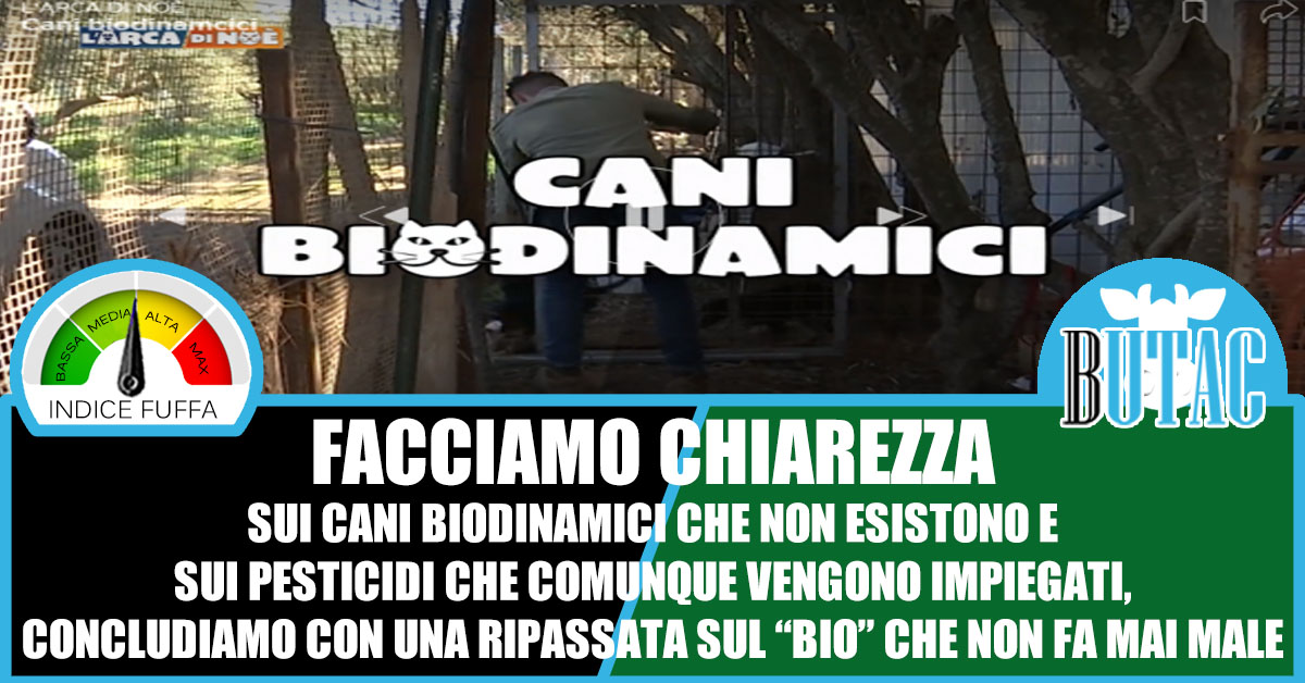 Topi, colombacce, conigli, e cani biodinamici® article-post