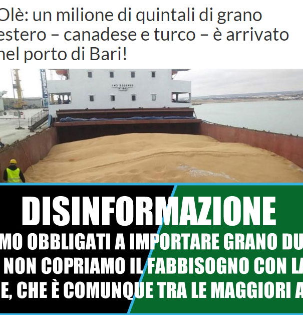 Il grano importato dall’estero… article-post