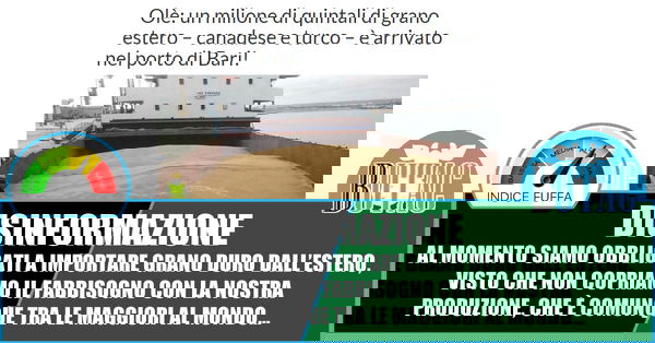 Il grano importato dall’estero…