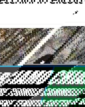 Australia, incendi, cammelli e poco giornalismo