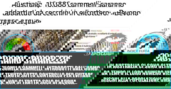 Australia, incendi, cammelli e poco giornalismo
