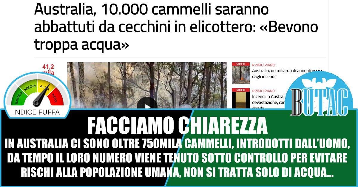 Australia, incendi, cammelli e poco giornalismo article-post