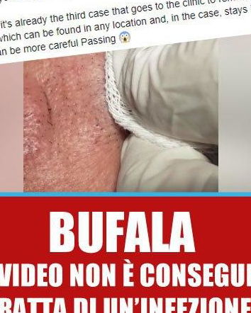 Il verme delle lattine