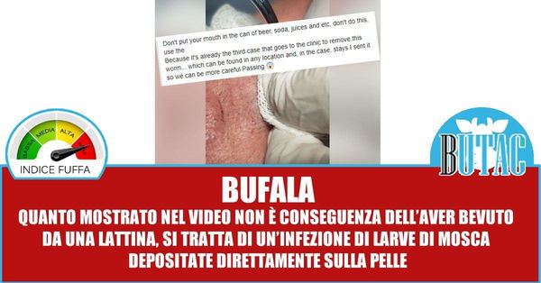 Il verme delle lattine