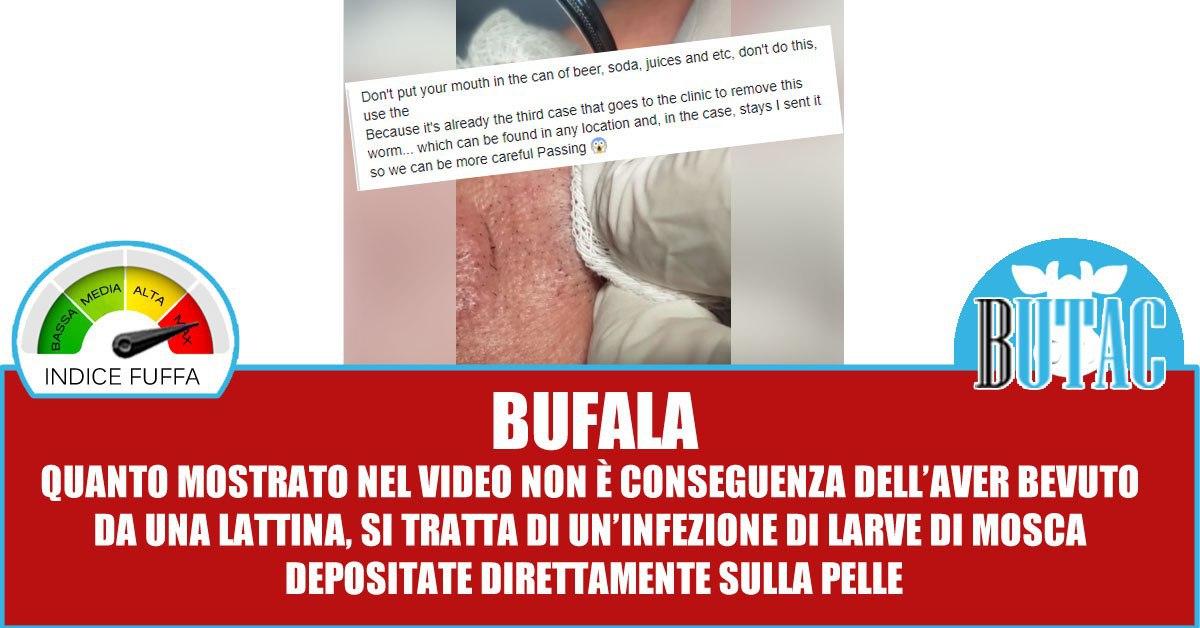 Il verme delle lattine article-post