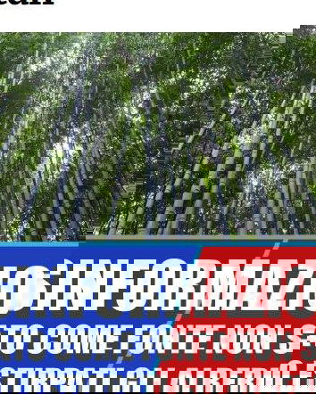 Alberi, 5G e mal-information