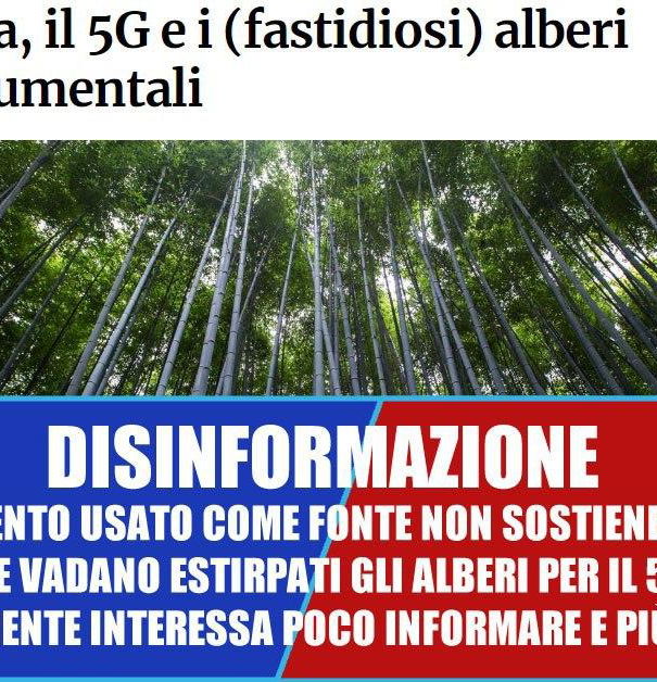 Alberi, 5G e mal-information article-post