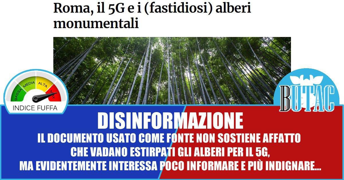 Alberi, 5G e mal-information article-post