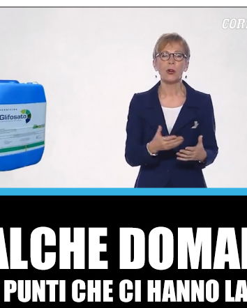 10 domande a cui sarebbe bello ricevere risposta