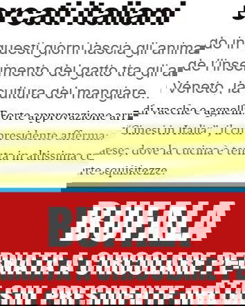 Gatti al supermercato e due