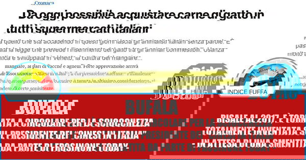 Gatti al supermercato e due