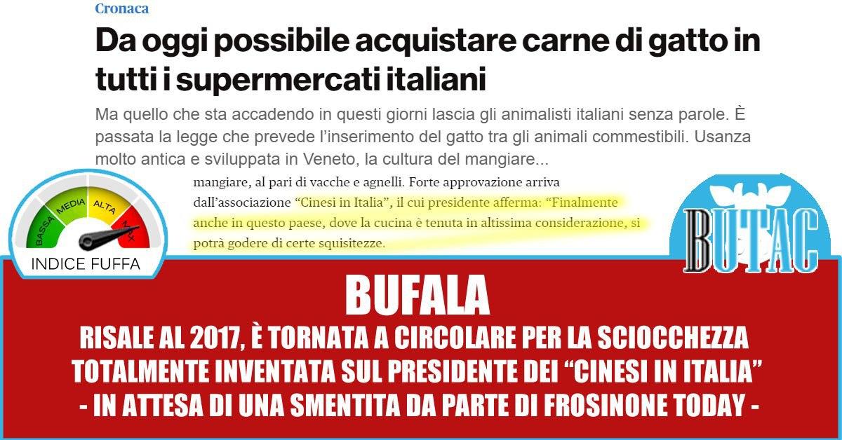Gatti al supermercato e due article-post