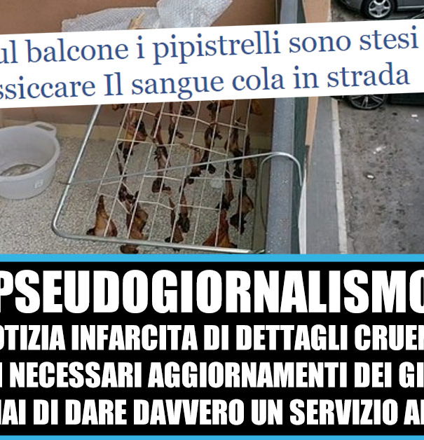 Informazione un tanto al chilo – Pipistrelli a Trani article-post