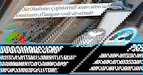 Informazione un tanto al chilo – Pipistrelli a Trani