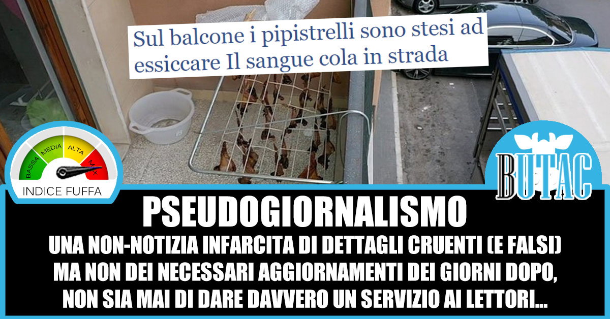 Informazione un tanto al chilo – Pipistrelli a Trani article-post