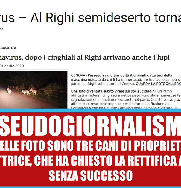 Il giornalismo locale e le rettifiche article-post