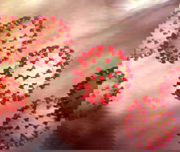 Non è Facebook la sede per approfondire la virologia, ma…