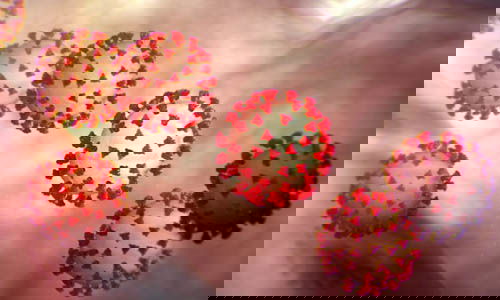 Non è Facebook la sede per approfondire la virologia, ma… article-post