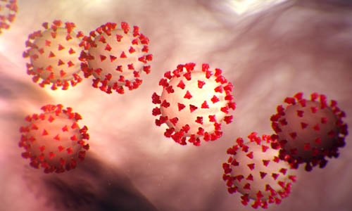 Non è Facebook la sede per approfondire la virologia, ma…