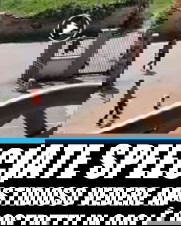 Non omettere i particolari