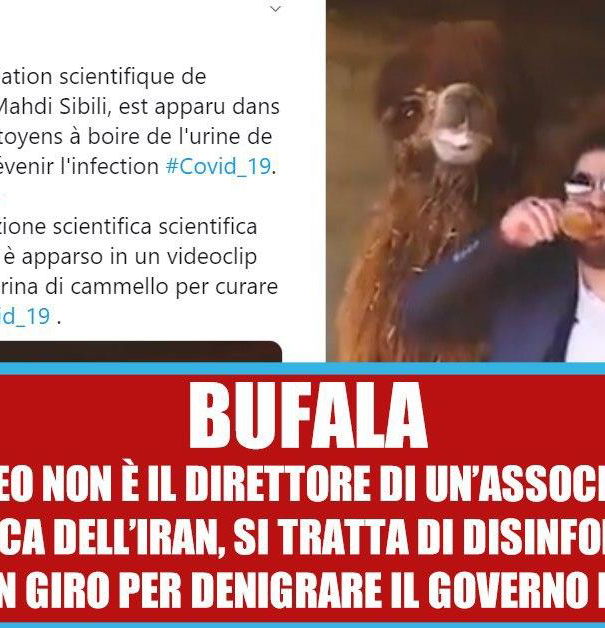 Il direttore scientifico dell’Iran e l’urina dei cammelli article-post