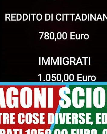 Partite Iva, Reddito di Cittadinanza e immigrati