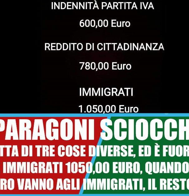 Partite Iva, Reddito di Cittadinanza e immigrati article-post