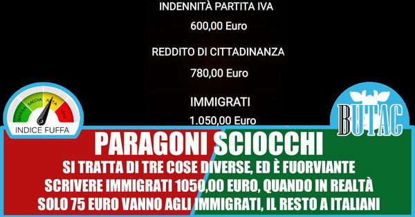 Partite Iva, Reddito di Cittadinanza e immigrati