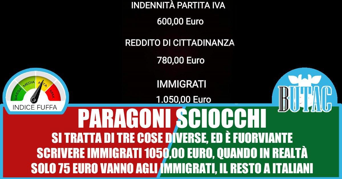 Partite Iva, Reddito di Cittadinanza e immigrati article-post